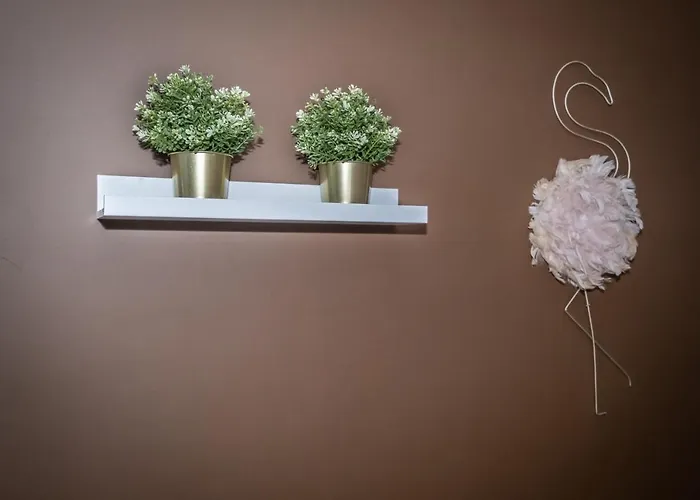 Cconforthotels Semplici Emozioni 招待所