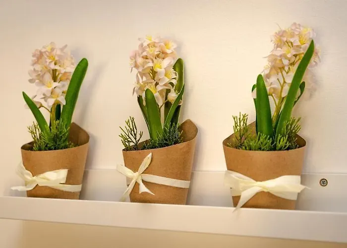 招待所 Cconforthotels Semplici Emozioni