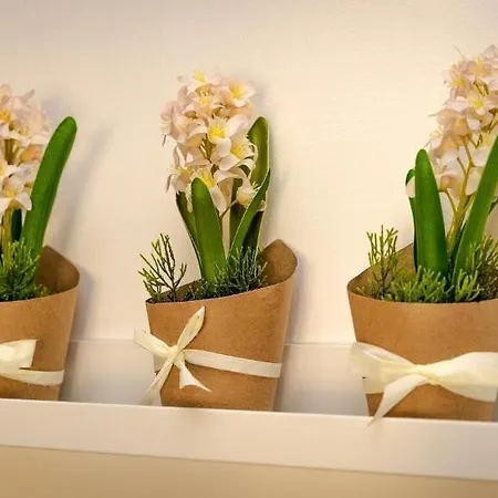 Konukevi Cconforthotels Semplici Emozioni